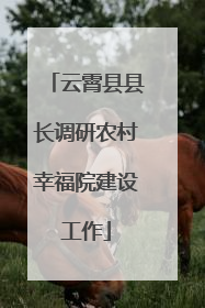 云霄县县长调研农村幸福院建设工作